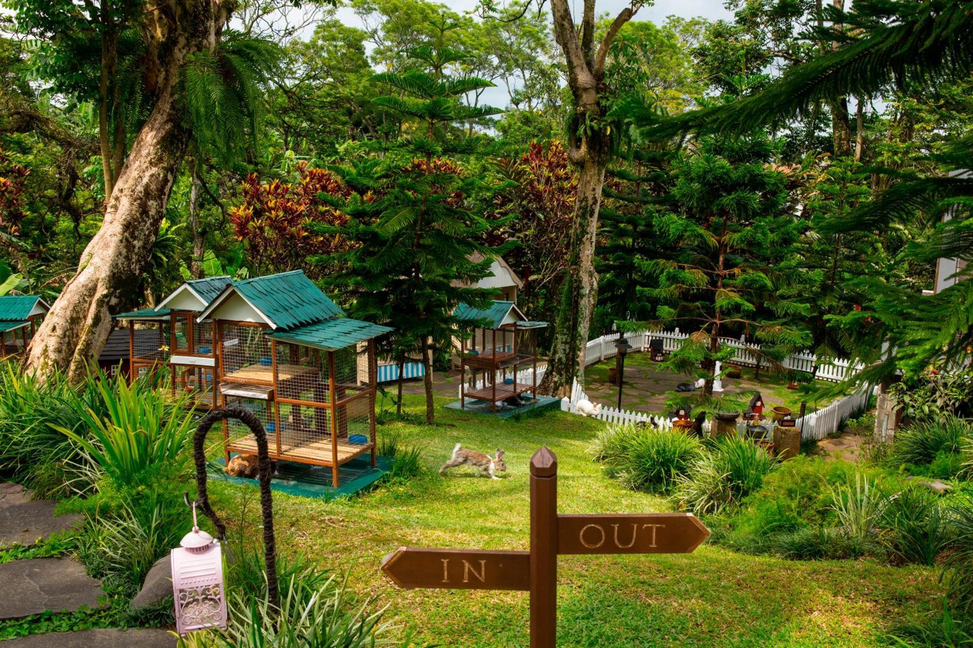 Novus Giri Resort & Spa Puncak Exterior foto