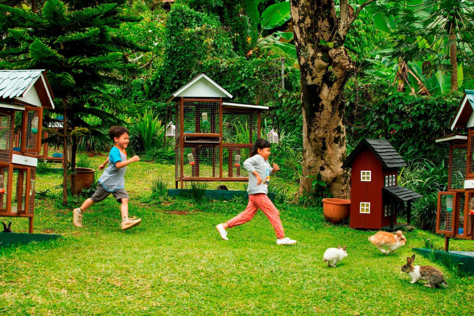 Novus Giri Resort & Spa Puncak Exterior foto